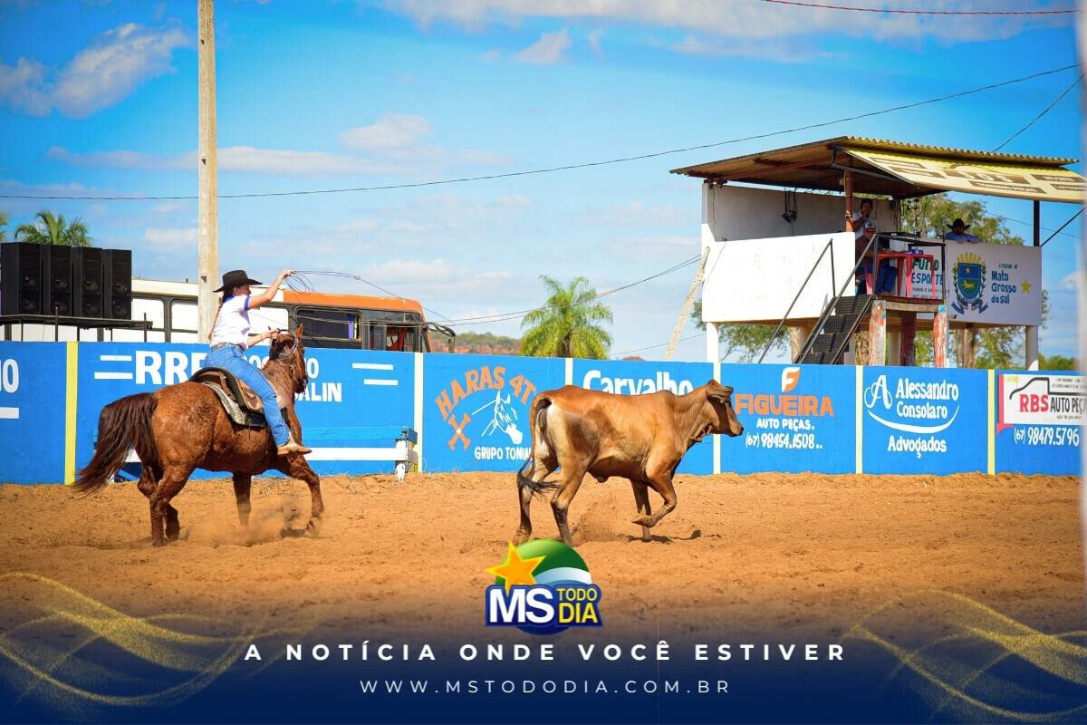 Imagem da Galeria